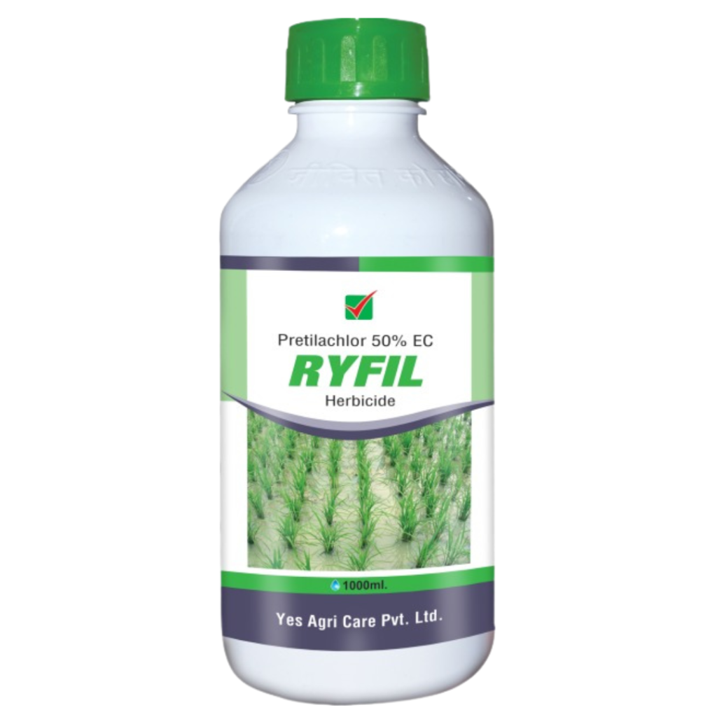 RYFIL